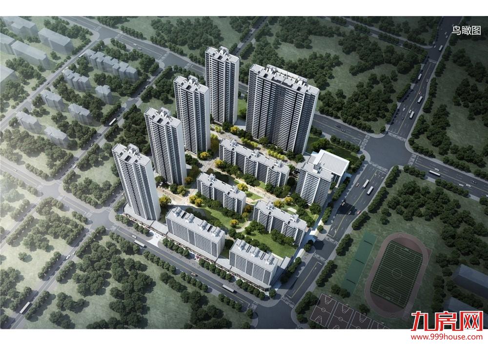 国贸学原三期