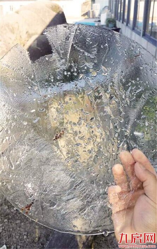 201512188199418984.jpg 1.jpg