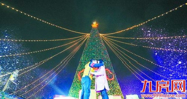 201512226116879876.jpg 2_副本.jpg