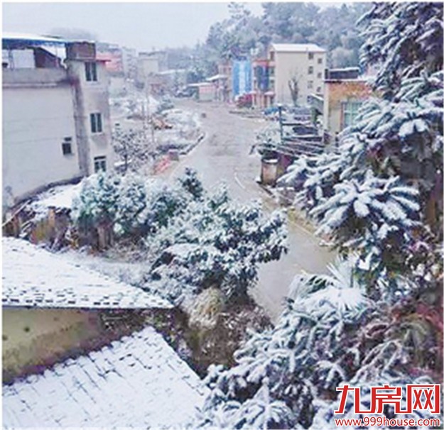 福建昨日被雪景刷屏 漳州土楼五十年来首次下雪-九房网