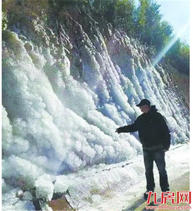 0.1℃！厦门从没这么冷过  明后天气温回升-九房网