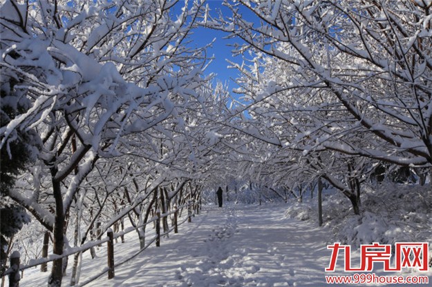 预告：本周末厦门仅一个楼盘开盘-九房网