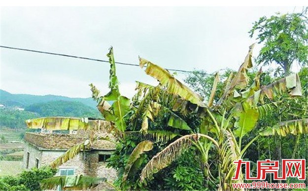 今明两天 阴雨又来  后天降雨趋停气温将显著回升-九房网