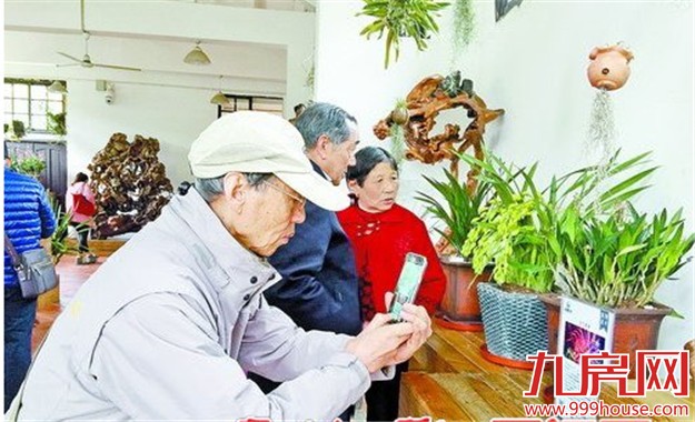 美丽厦门春意浓 公园景点人气旺-九房网