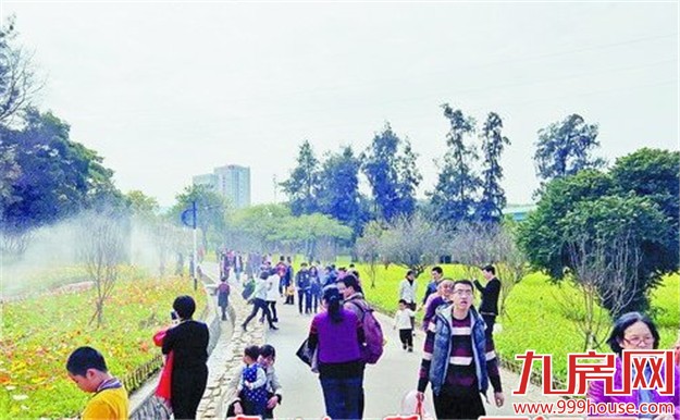 美丽厦门春意浓 公园景点人气旺-九房网