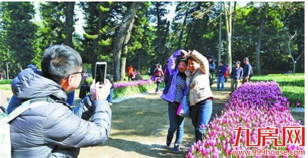 春节我市揽客近195万人次 游客最爱来厦门过年-九房网