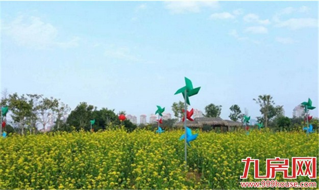 厦门的春天彻底爆发了  这里的花儿美翻了全厦门！——九房网