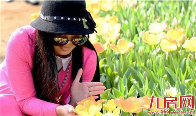 厦门的春天彻底爆发了  这里的花儿美翻了全厦门！——九房网