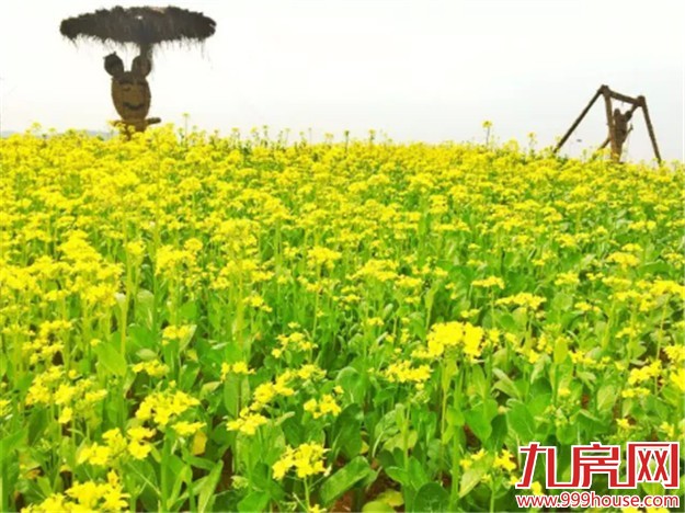 预告：本周末厦门6大楼盘营销活动——九房网