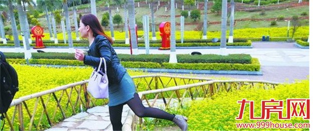 翻越篱笆 踩花拍照 公园花海请你“脚下留情”——九房网