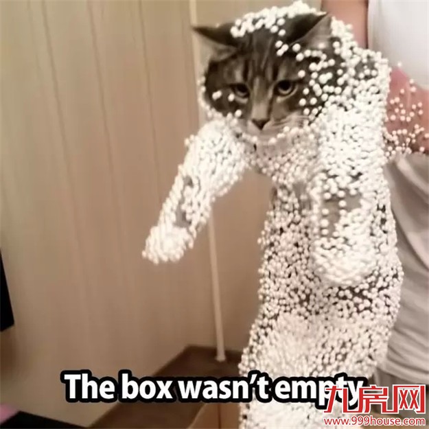 学会这几个小技巧 30平米出租屋也能迅速提升格调！——九房网