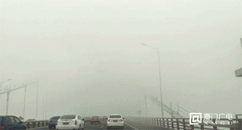 女神节  请收下这份新年礼“雾”——九房网