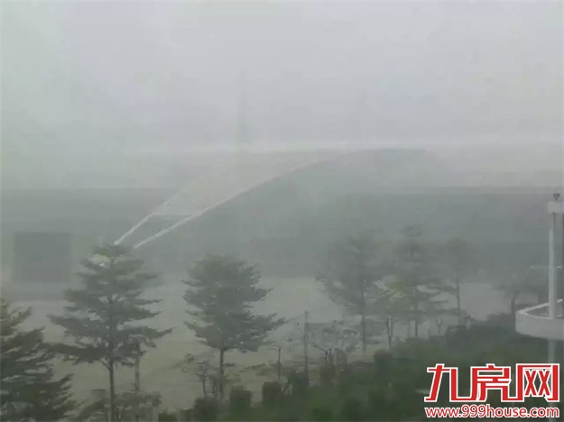 女神节  请收下这份新年礼“雾”——九房网