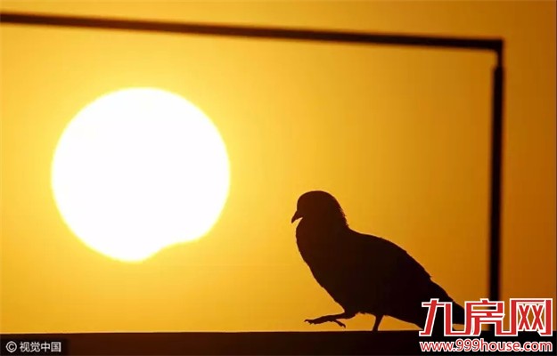 厦门人早上错过这场日食奇观的 现在别错过这个——九房网