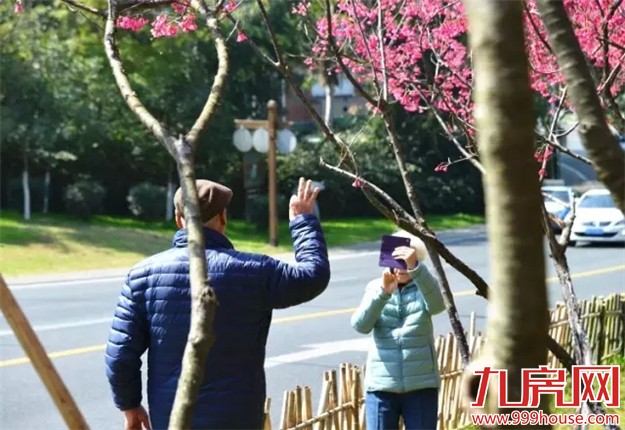 《跑男》要来厦录制？厦门高颜值又浪漫的取景地——九房网