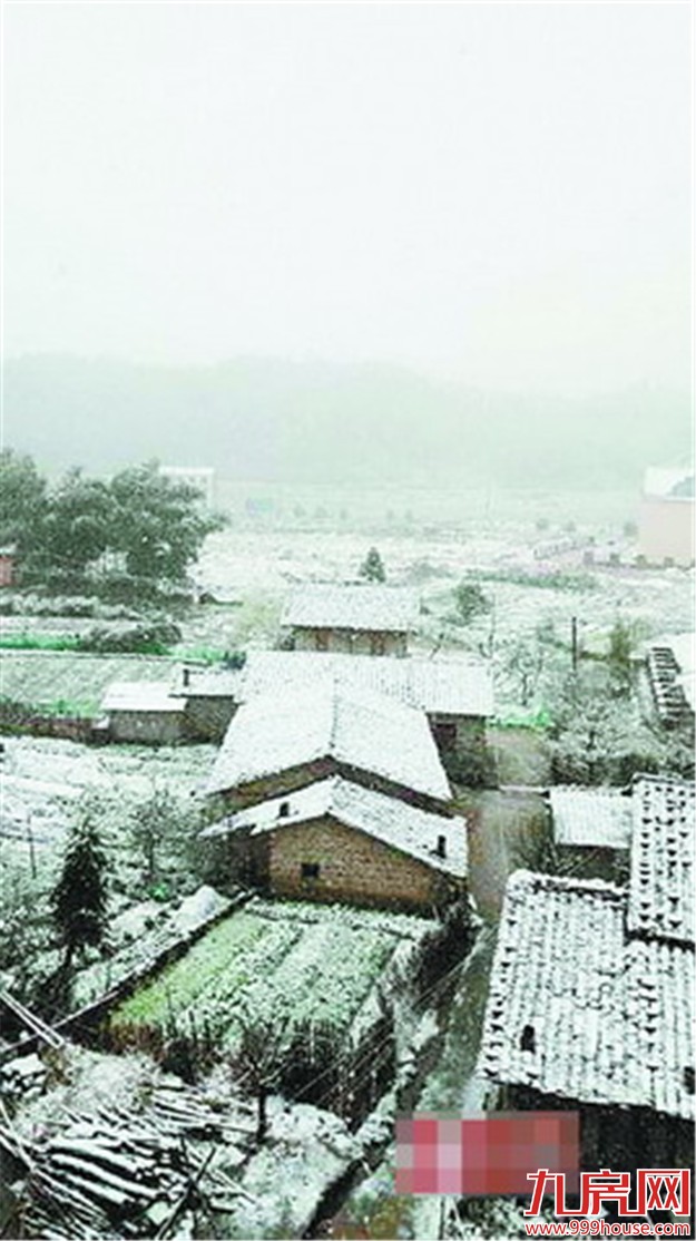 春寒料峭 今天最低温7℃  连续三天仍有阵雨——九房网