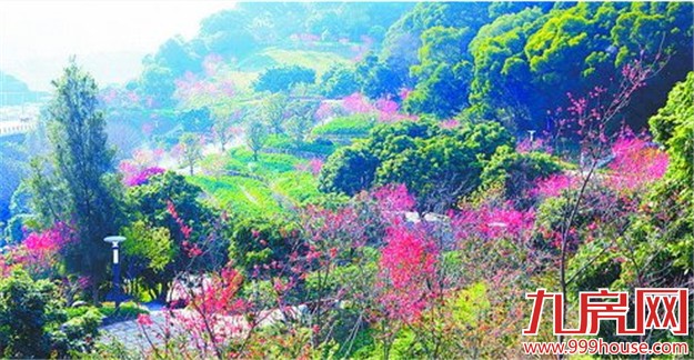 我市全力推进园林绿地建设 提升宜居度——九房网