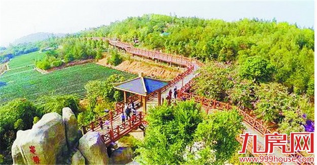 我市全力推进园林绿地建设 提升宜居度——九房网