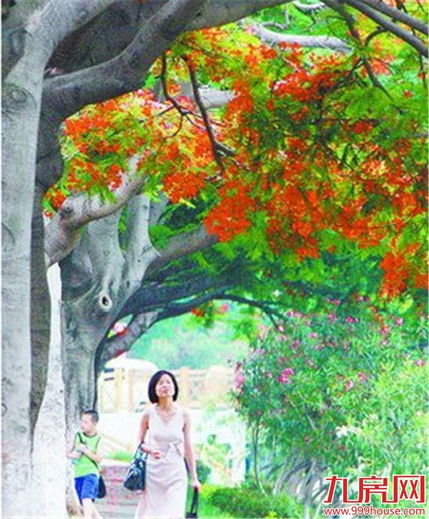 我市全力推进园林绿地建设 提升宜居度——九房网