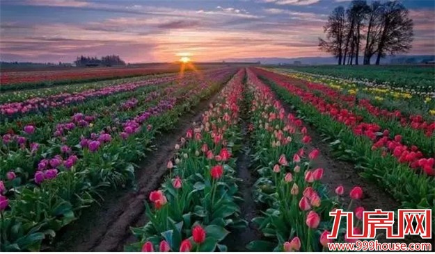 厦门是哪个省的？已传疯！厦门人快顶！起！来！——九房网