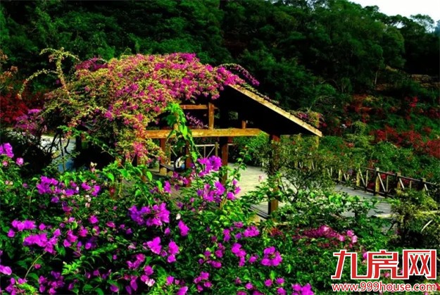 厦门是哪个省的？已传疯！厦门人快顶！起！来！——九房网