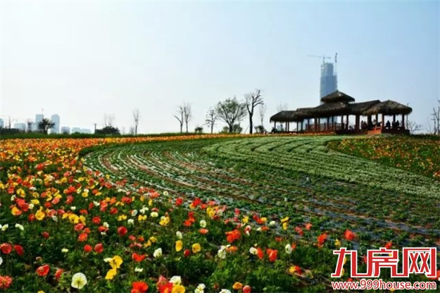 厦门是哪个省的？已传疯！厦门人快顶！起！来！——九房网