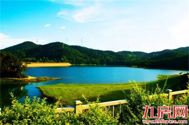 厦门是哪个省的？已传疯！厦门人快顶！起！来！——九房网