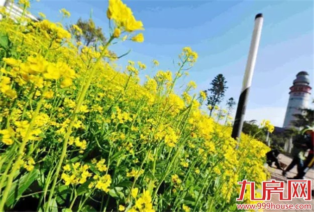 厦门是哪个省的？已传疯！厦门人快顶！起！来！——九房网