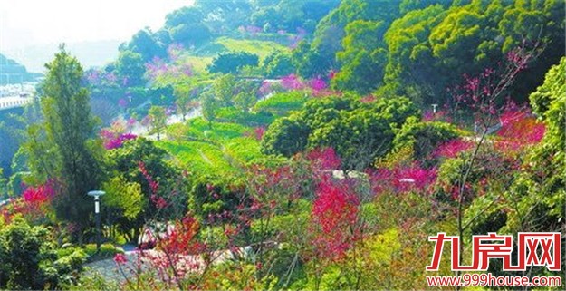 海沧今年全面推进公园、道路绿化等63个项目建设——九房网