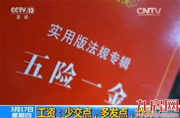 白岩松: “五险一金”能少交点吗 人社部专家:在研究降低方案——九房网