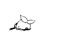 网友：雷公电母助阵"孙悟空"VS"龙王"撕逼大战！躲远点——九房网