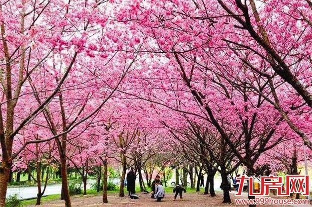 你的新老公宋仲基邀你去厦门，约吗？——九房网