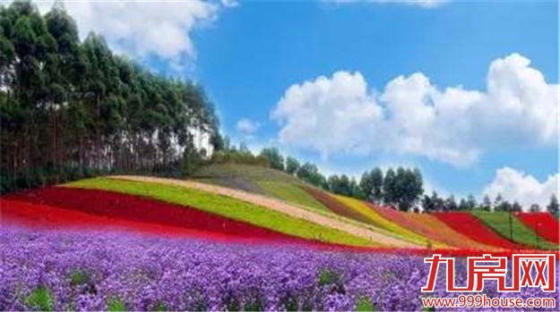 你的新老公宋仲基邀你去厦门，约吗？——九房网