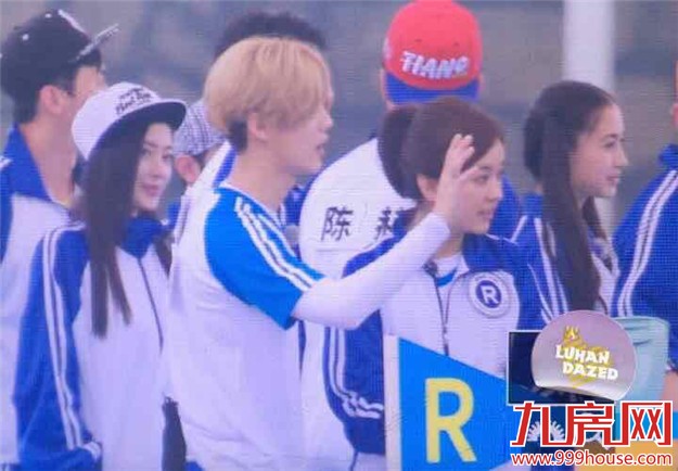 跑男——九房网