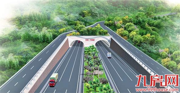 海沧货运通道有望明年建成 全程无红绿灯——九房网