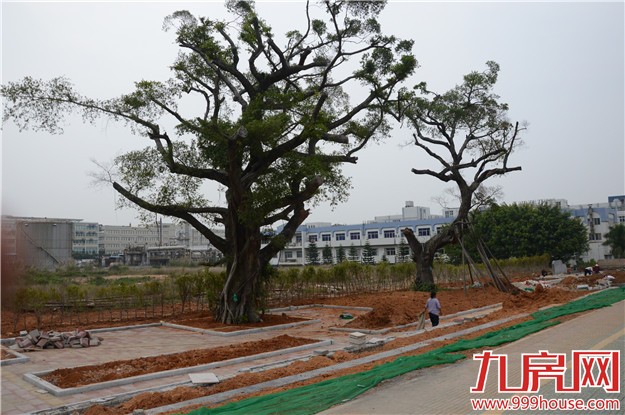 小九实地探访：融侨观邸 如何上演华丽“海墅恋”——九房网