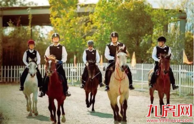 三盛国际海岸：日光247套 最火墅质高层【大揭秘】——九房网