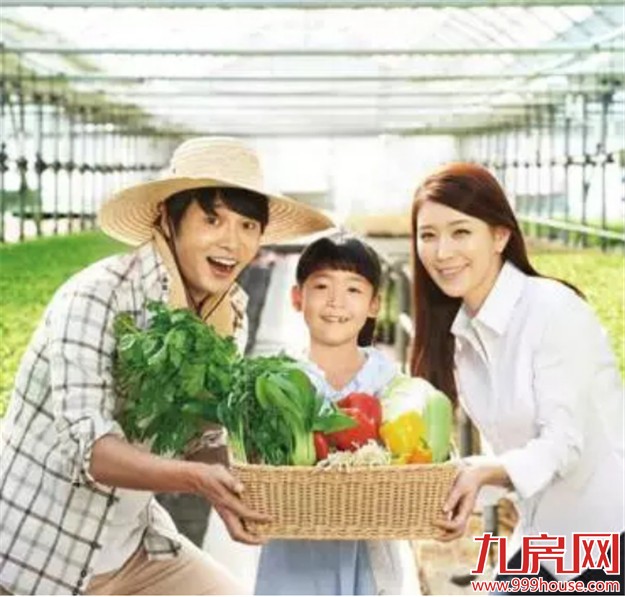 三盛国际海岸：日光247套 最火墅质高层【大揭秘】——九房网