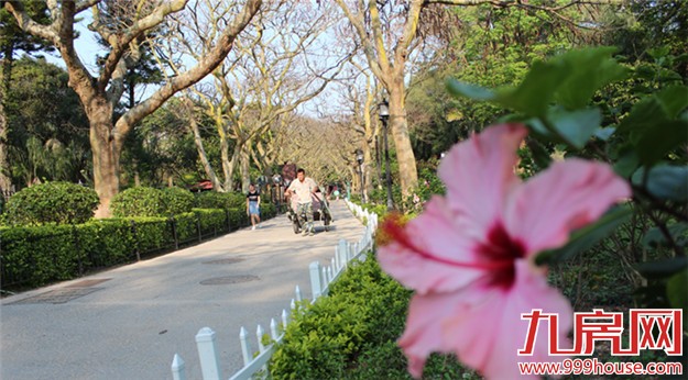 鼓浪屿整治提升和申遗筹备工作加快推进 琴岛回归“清静之美”——九房网