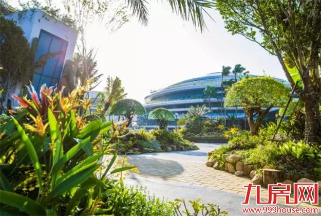 对不起 ！我要去新加坡旁森林城市了，羡慕就来找我吧！——九房网