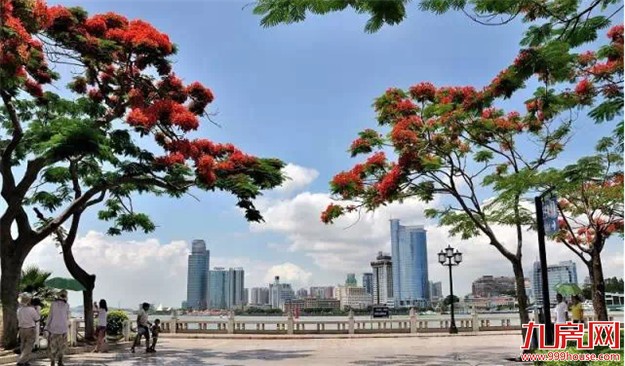 这一次，厦门又被国家委以重任，你们造吗？——九房网