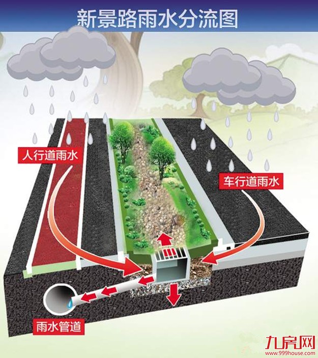 厦门海绵城市建设被当样板 海沧区试点初尝生态成果——九房网 厦门海绵城市建设被当样板 海沧区试点初尝生态成果——九房网