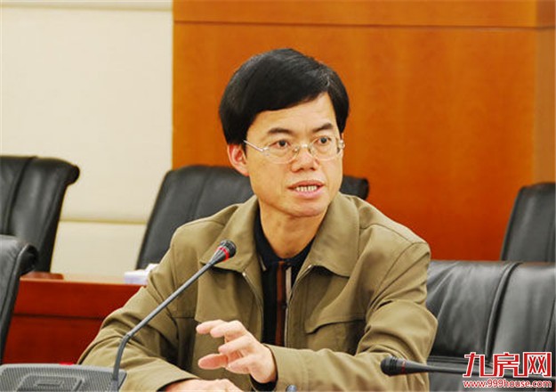 裴金佳：适度调整房地产政策 力促房地产市场健康发展——九房网