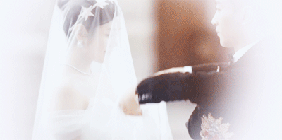 一句张图告诉你 厦门一言不合就买房的真相…——九房网