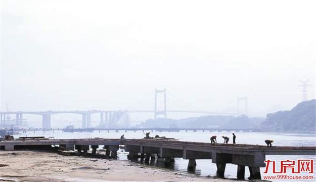 海沧大道沿线将建亲水栈桥及休闲广场 拟明年春节前建成——九房网
