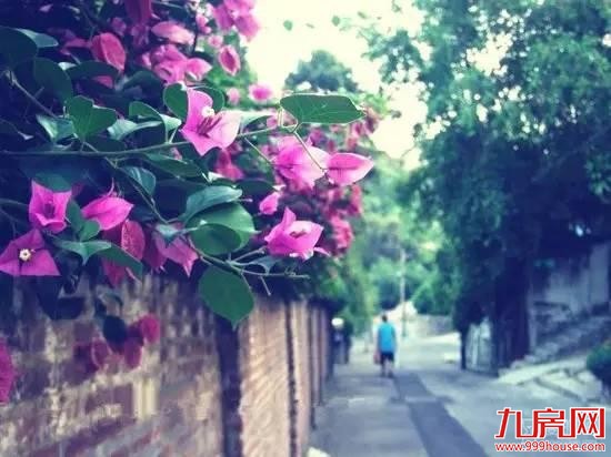 你说鼓浪屿很美 我说你不知道的厦门更美——九房网