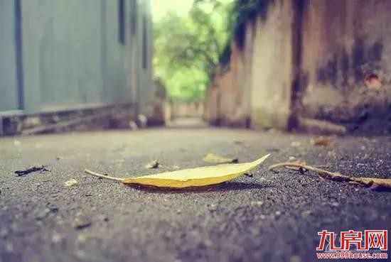 你说鼓浪屿很美 我说你不知道的厦门更美——九房网