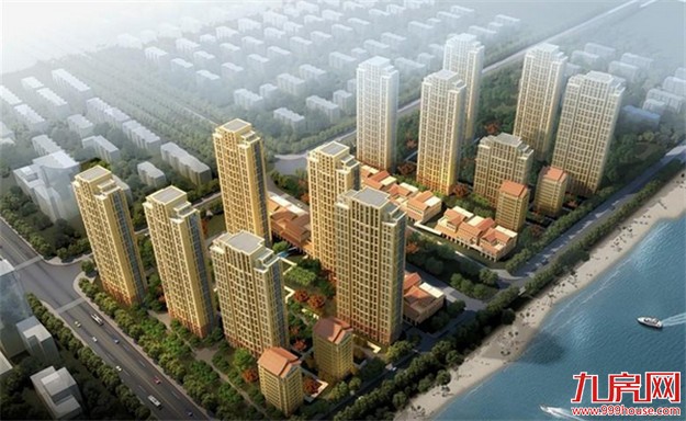 在厦门火的不仅仅是奥运会，还有它们…——九房网