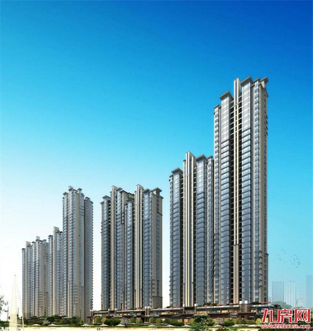 在厦门火的不仅仅是奥运会，还有它们…——九房网