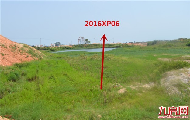 铭记这一天！厦门楼市最后底线被刺穿！8月厦门土拍创×亿新高，房价还要飞上天！——九房网